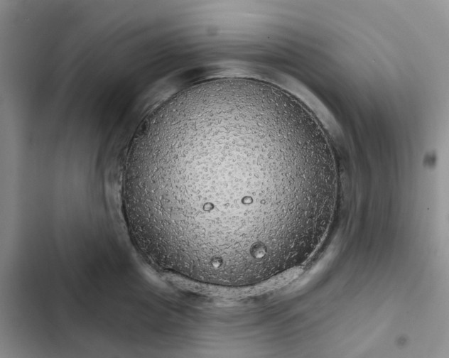 X0000102770857200808251050