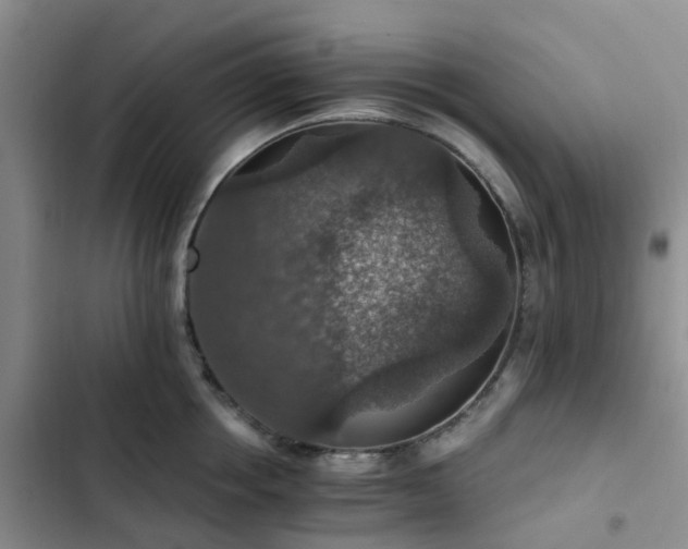 X0000102770858200808251050