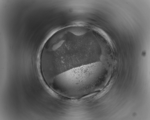 X0000102770859200808251050