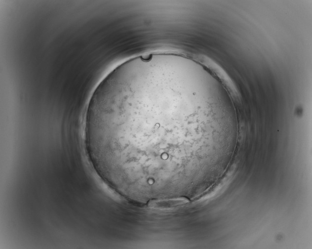 X0000102770860200808251050