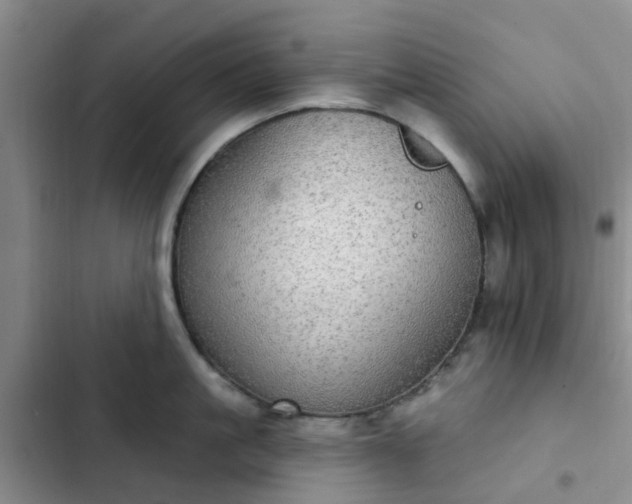 X0000102770861200808251050