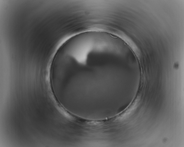 X0000102770862200808251050