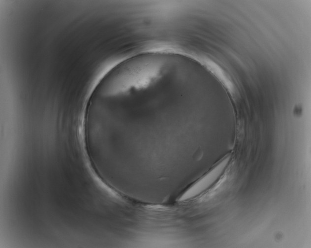 X0000102770863200808251050