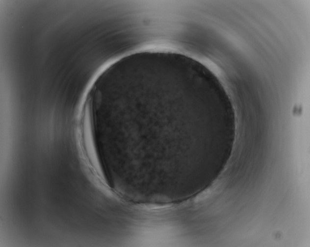 X0000102770864200808251050