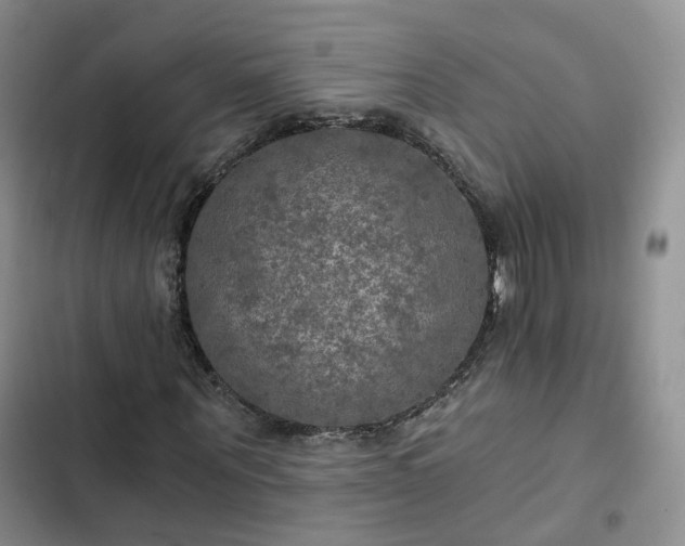 X0000102770867200808251049