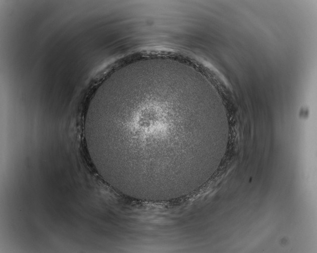 X0000102770870200808251049