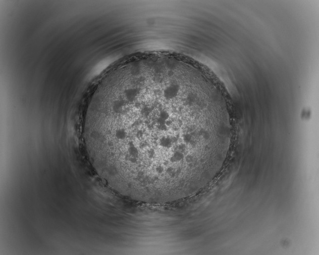 X0000102770871200808251049