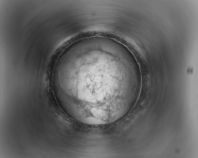 X0000102770872200808251049