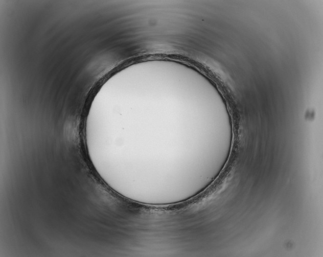 X0000102770873200808251049