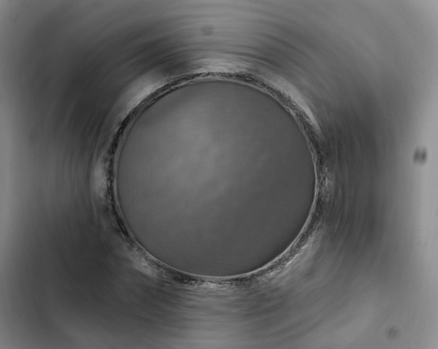 X0000102770874200808251049