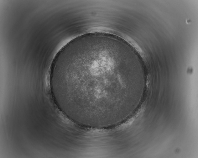 X0000102770877200808251049