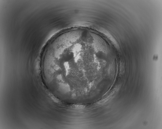 X0000102770878200808251049