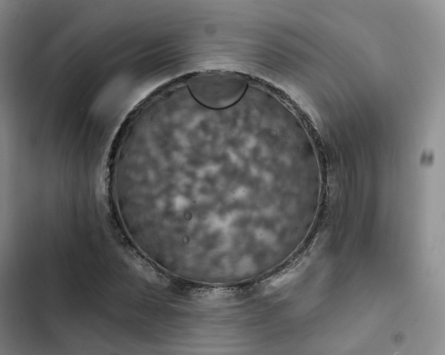 X0000102770879200808251049