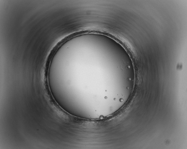 X0000102770880200808251049