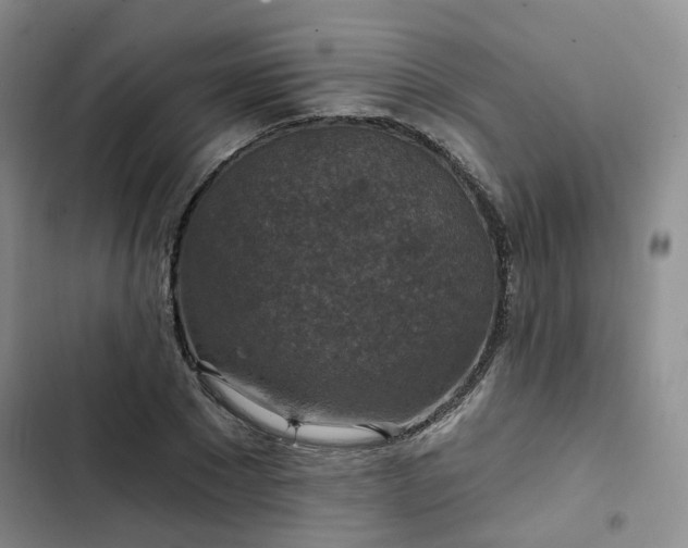 X0000102770881200808251049