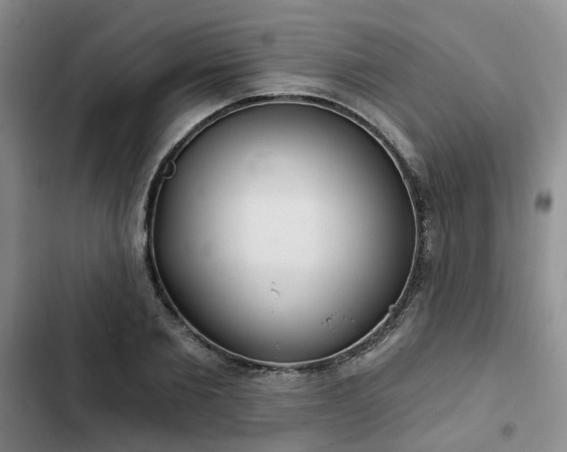 X0000102770885200808251049