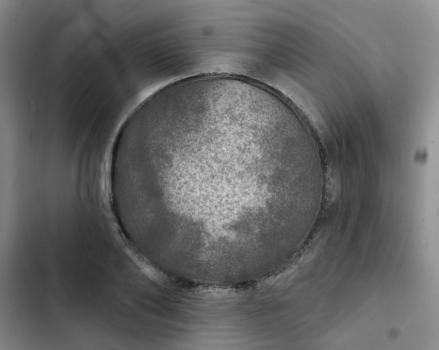 X0000102770886200808251049