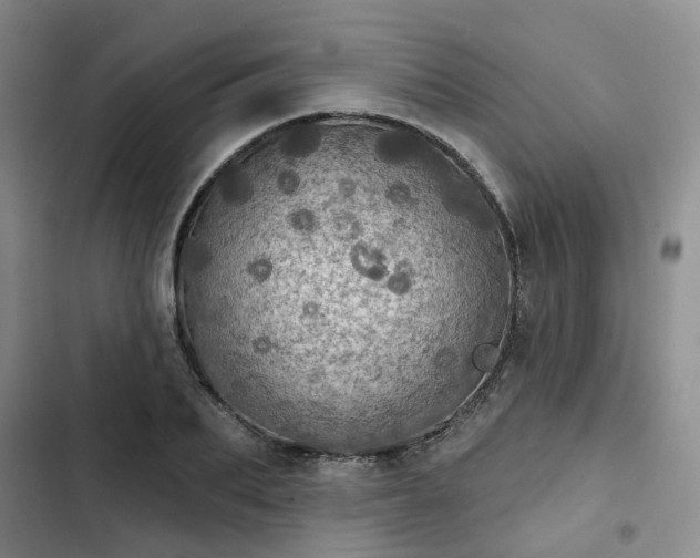 X0000102770887200808251049