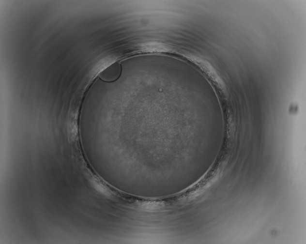 X0000102770889200808251049