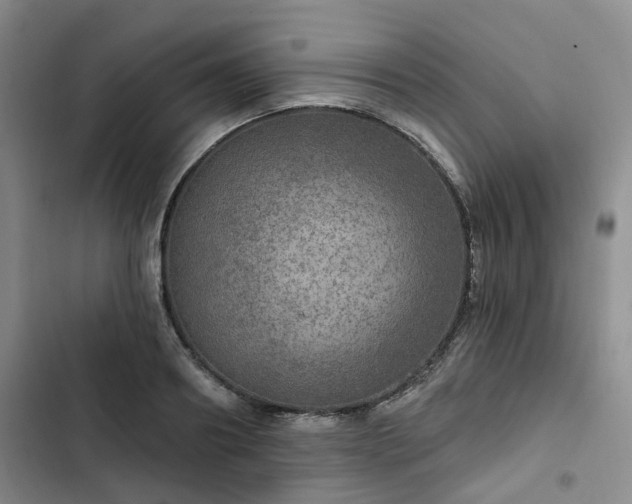 X0000102770890200808251049