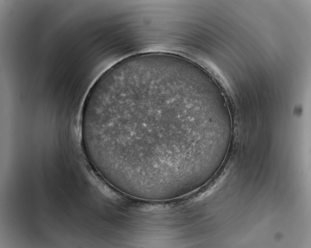 X0000102770892200808251049