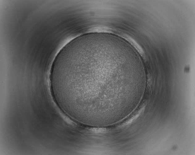 X0000102770893200808251049