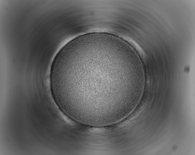 X0000102770894200808251049