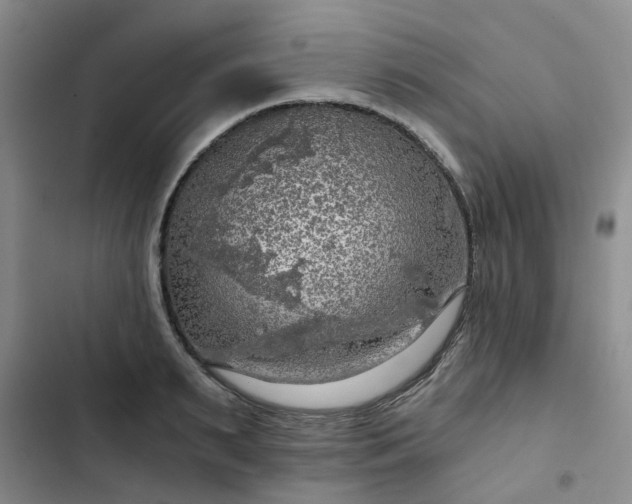 X0000102770895200808251049