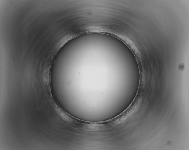 X0000102770897200808251049