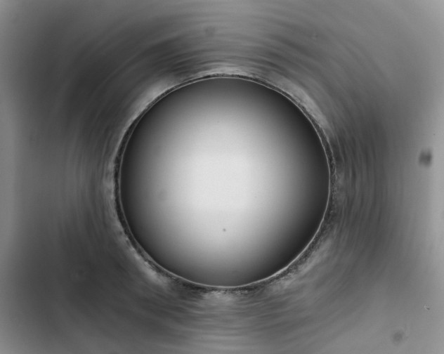 X0000102770898200808251049