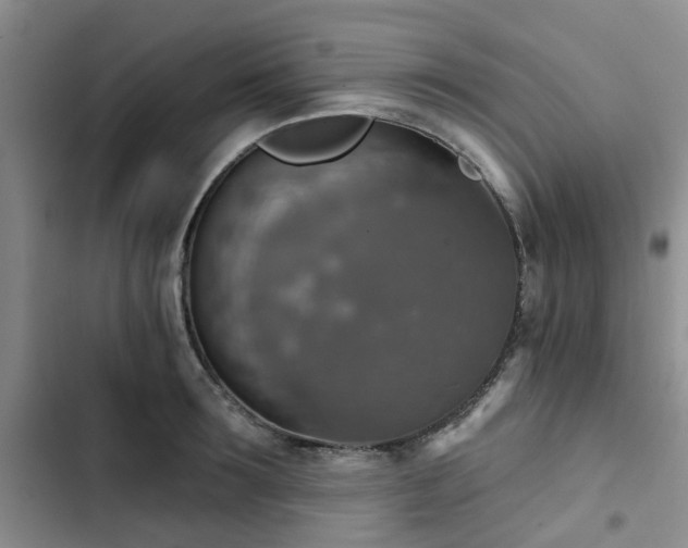 X0000102770899200808251049