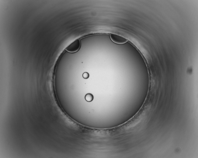 X0000102770901200808251049