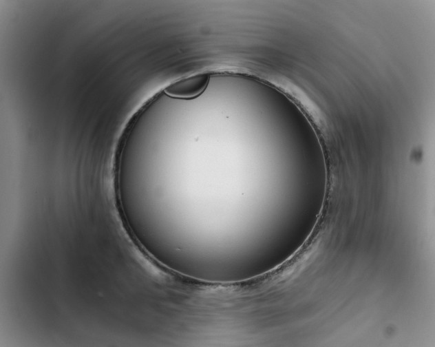 X0000102770902200808251049