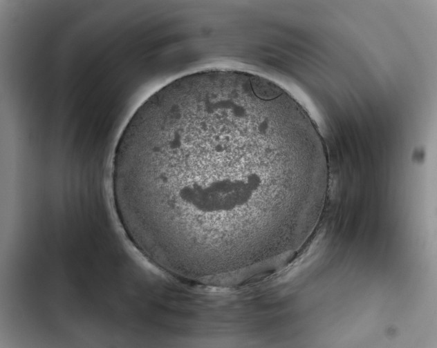 X0000102770903200808251049