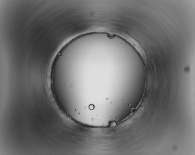 X0000102770904200808251049