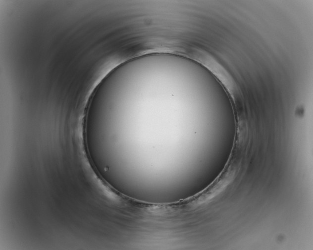 X0000102770906200808251049