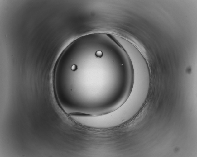 X0000102770907200808251049