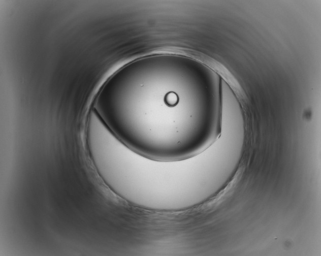 X0000102770908200808251049