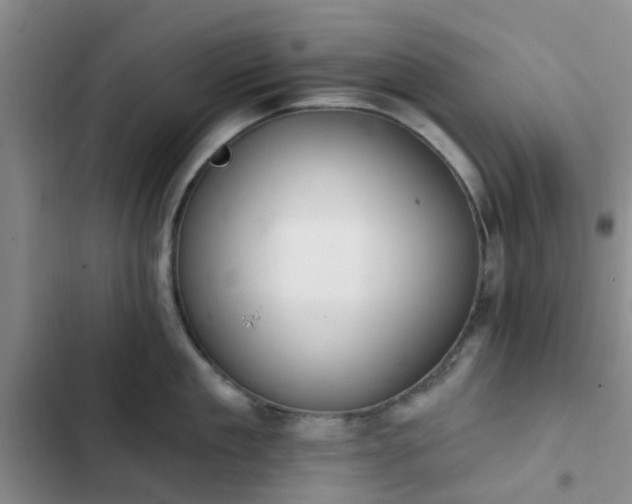 X0000102770909200808251049