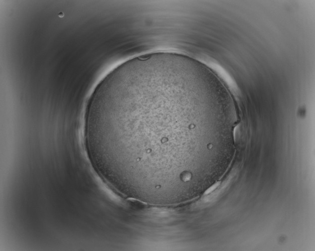 X0000102770910200808251049