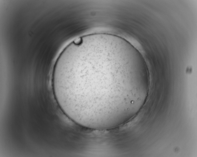 X0000102770912200808251049