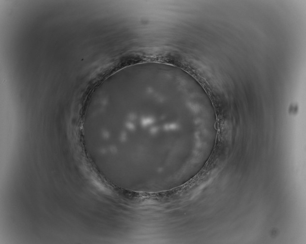 X0000102770913200808251048