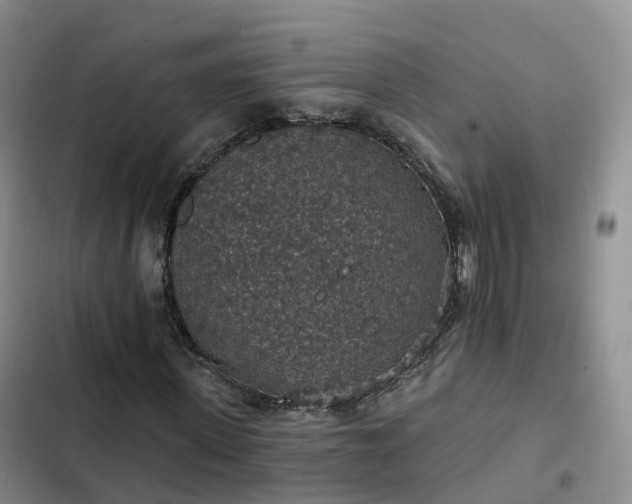 X0000102770915200808251048