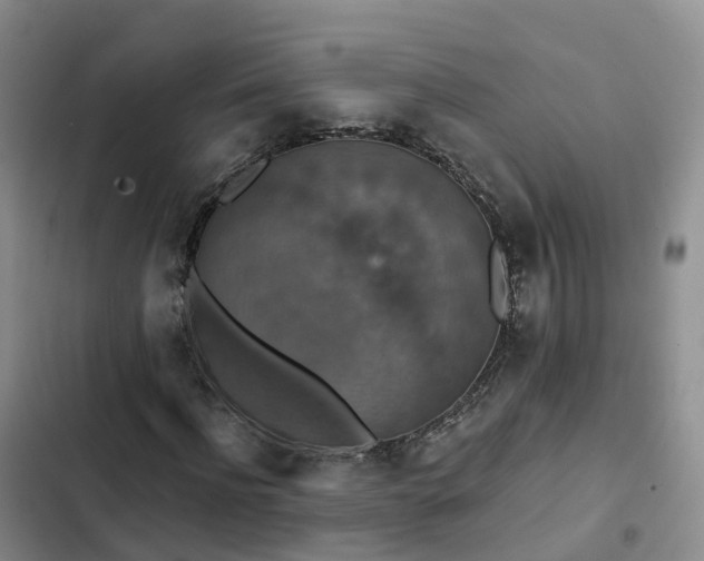 X0000102770916200808251048