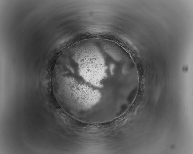 X0000102770917200808251048