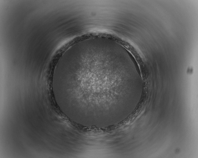 X0000102770919200808251048