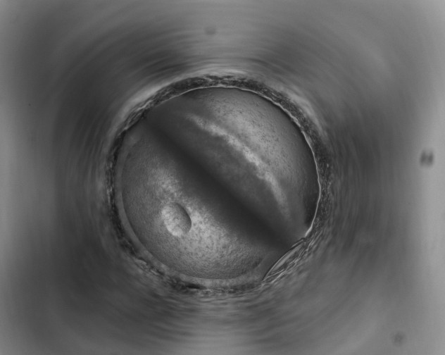 X0000102770920200808251048