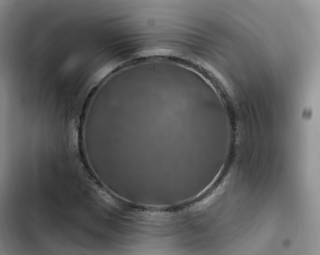 X0000102770921200808251048