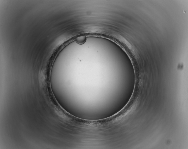 X0000102770922200808251048