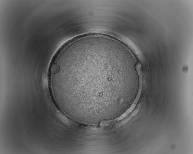 X0000102770924200808251048